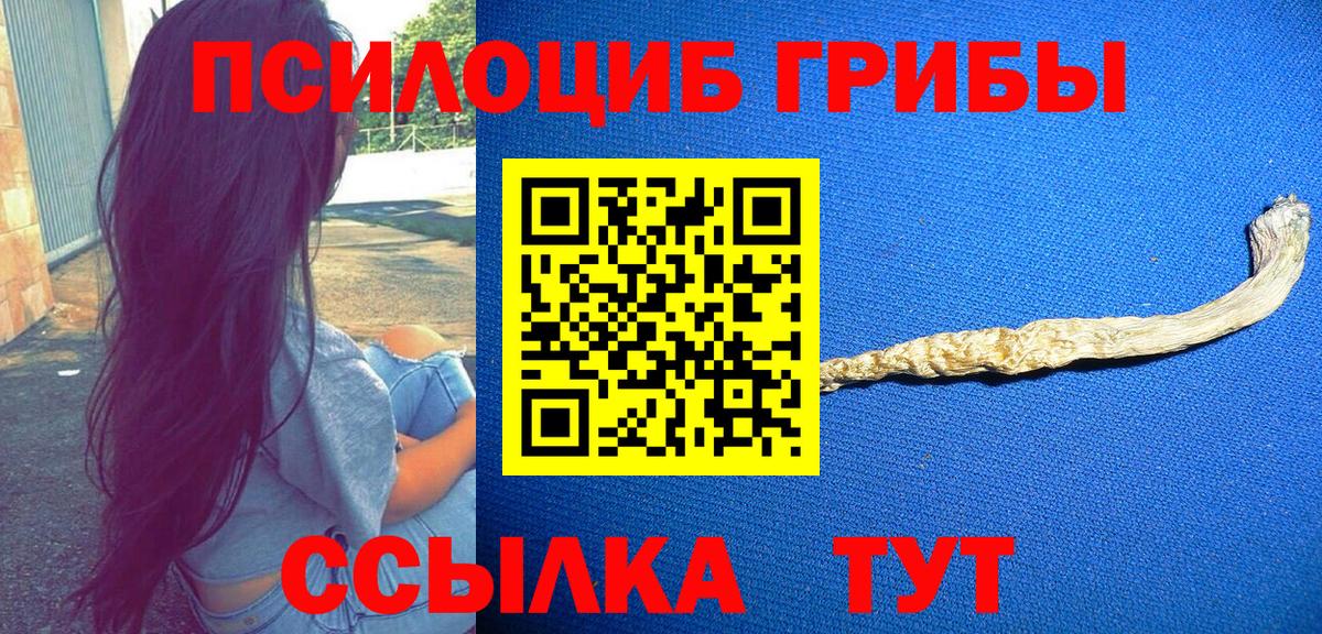Псилоцибиновые грибы Psilocybine cubensis  Вход с VPN  Острогожск 